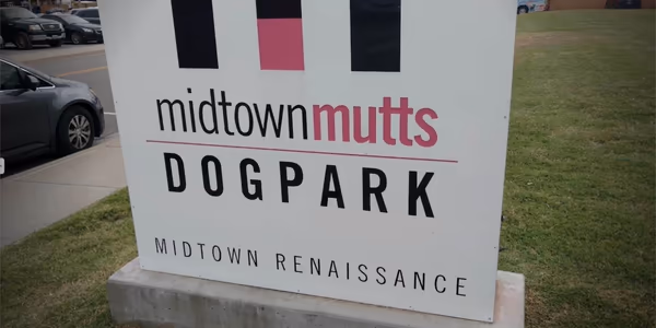 Midtown Mutts Dog Park photo 2